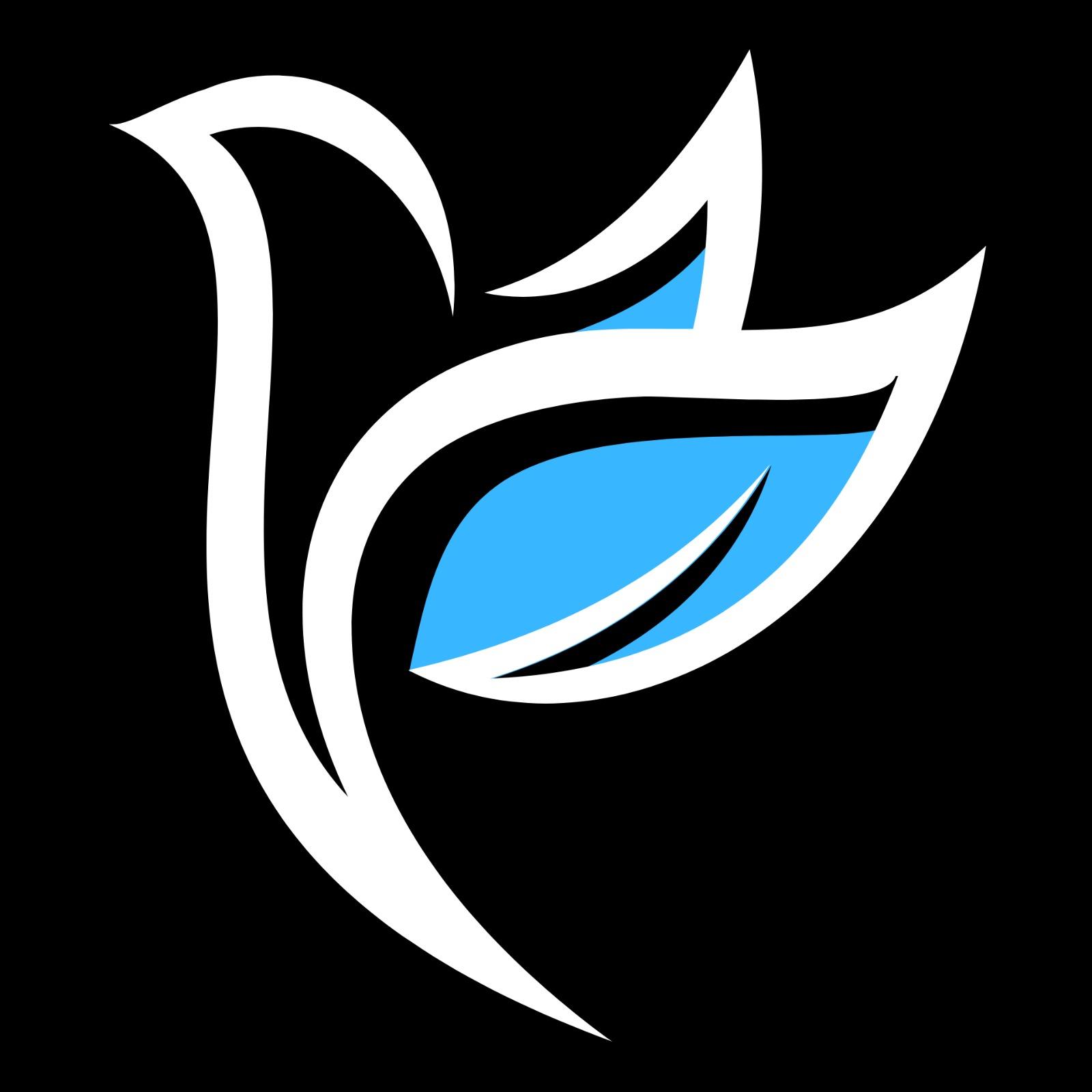 NSoC logo